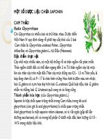 Một số dược liệu chứa saponin