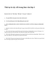 Thứ tự tả cây cối trong làm văn lớp 4 - văn mẫu