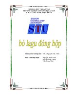 Tiểu luận Bò lagu đóng hộp