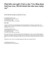 Phát biểu cảm nghĩ về bài ca dao “Cày đồng đang buổi ban trưa, Mồ hôi thánh thót như mưa ruộng cày” - văn mẫu