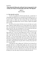 Báo cáo tốt nghiệp ngành khoa học môi trường: Ứng dụng hệ thống sản xuất sạch hơn trong quản lý môi trường tại công ty cổ phần giấy xuất khẩu Thái Nguyên