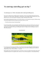 Tả cảnh đẹp cánh đồng quê em lớp 7 - văn mẫu