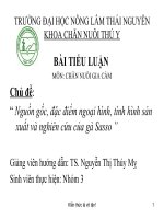 Bài tiểu luận nguồn gốc, đặc điểm ngoại hình, tình hình sản  xuất và nghiên cứu của gà sasso