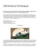 Phân tích đoạn Lục Vân Tiên gặp nạn - văn mẫu