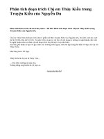 Phân tích đoạn trích Chị em Thúy Kiều trong Truyện Kiều của Nguyễn Du - văn mẫu