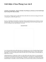 Giới thiệu về hoa Phong Lan văn 8 - văn mẫu