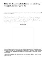 Phân tích đoạn trích Kiều báo ân báo oán trong Truyện Kiều của Nguyễn Du - văn mẫu