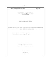 nghiên cứu chẩn đoán và điều trị chấn thương tạng ổ bụng ở bệnh nhân vỡ xương chậu