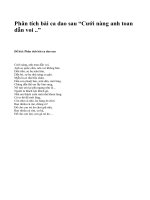 Phân tích bài ca dao sau “Cưới nàng anh toan dẫn voi ..” - văn mẫu