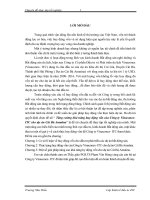 tăng cường khả năng huy động vốn của công ty vinaconex – ITC cho dự án cát bà amatina