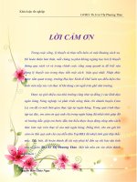 Ứng dụng hệ thống cân bằng điểm đo lường hiệu quả kinh doanh của Ngân Hàng NNPTNT Huyện Cam Lộ, tỉnh Quảng Trị