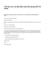 Viết đơn xin vào đội thiếu niên tiền phong Hồ Chí Minh - văn mẫu