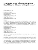 Phân tích bài ca dao “Lỗ mũi mười tám gánh lông, Chồng yêu chồng bảo tơ hồng trời cho…” - văn mẫu