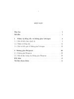 Luận văn thạc sĩ Toán học Về không gian bergman