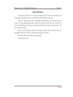 Tiểu luận khoai tây và các sản phẩm từ khoai tây