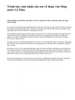 Trình bày cảm nhận của em về đoạn văn Sông nước Cà Mau - văn mẫu