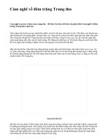 Cảm nghĩ về đêm trăng Trung thu - văn mẫu