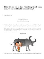 Phân tích hai câu ca dao: “Anh hùng là anh hùng rơm, Ta cho mồi lửa hết cơn anh hùng” - văn mẫu