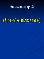 Bài giảng điện tử Địa Lý 4 Bài 20 bài giảng đồng bằng nam bộ