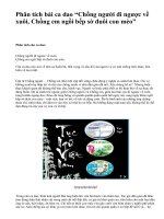 Phân tích bài ca dao “Chồng người đi ngược về xuôi, Chồng em ngồi bếp sờ đuôi con mèo” - văn mẫu