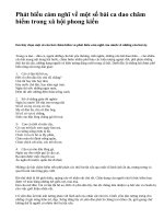 Phát biểu cảm nghĩ về một số bài ca dao châm biếm trong xã hội phong kiến - văn mẫu