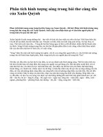 Phân tích hình tượng sóng trong bài thơ cùng tên của Xuân Quỳnh - văn mẫu