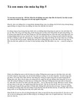 Tả con mưa rào mùa hạ lớp 5 - văn mẫu