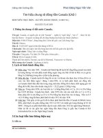 Đề tài tìm hiểu chung về đồng tiền canada (CAD)   GVHD phan đặng ngọc yến vân