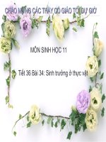 Tiết 36. Bài 34 Sinh trưởng ở thực vật