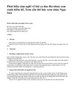 Phát biểu cảm nghĩ về bài ca dao Rủ nhau xem cảnh kiếm hồ, Xem cầu thê húc xem chùa Ngọc Sơn - văn mẫu