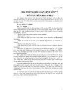 Chuyên đề hội chứng rối loạn sinh sản và hô hấp trên heo PRRS