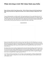 Phân tích đoạn trích Mã Giám Sinh mua Kiều - văn mẫu