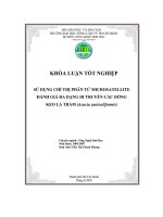 Khóa luận sử dụng chỉ thị phân tử microsatellite đánh giá đa dạng di truyền các dòng keo lá tràm (acacia auriculiformis)