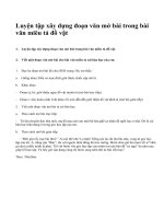 Luyện tập xây dựng đoạn văn mở bài trong bài văn miêu tả đồ vật - văn mẫu