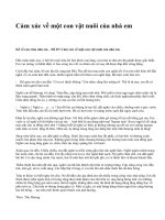 Cảm xúc về một con vật nuôi của nhà em - văn mẫu