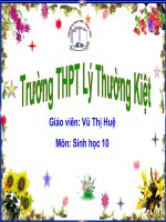 Tiết 22. Bài 23. Enzim và vai trò của enzim trong quá trình chuyển hóa vật chất (Sinh 10 NC)