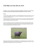 Giới thiệu con trâu nhà em văn 8 - văn mẫu