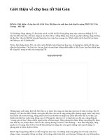 Giới thiệu về chợ hoa tết Sài Gòn - văn mẫu