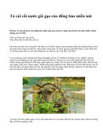 Tả cái cối nước giã gạo của đồng bào miền núi - văn mẫu