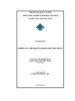 Luận văn nghiên cứu chế biến sữa khoai môn tiệt trùng