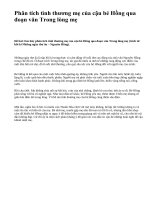 Phân tích tình thương mẹ của cậu bé Hồng qua đoạn văn Trong lòng mẹ - văn mẫu