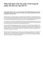 Phân tích đoạn trích Tức nước vỡ bờ trong tác phẩm Tắt đèn của Ngô Tất Tố - văn mẫu