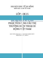 bài tập kinh tế vi mô phân tích cung cầu thị trường điện thoại di động việt nam - đh kinh tế đà nẵng