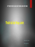 Đề tài thiết kế bể thủy sinh