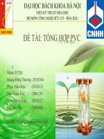 Slide Đề tài tổng hợp PVC