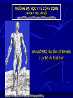 Bài giảng mở đầu về giải phẫu người