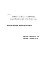 Chỉ tiêu giám sát và đánh giá chi tiêu ngân sách nhà nước ở VN