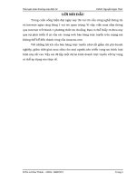 XÂY DỰNG kế HOẠCH KINH DOANH CHO dự án candyhoa movi vn