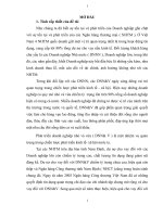 Giải pháp nâng cao hiệu quả tín dụng đối với các doanh nghiệp nhỏ và vừa tại ngân hàng công thương tỉnh nam định