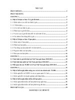 Tình hình tỷ giá hối đoái và lạm phát tại việt nam giai đoạn 2010 2013